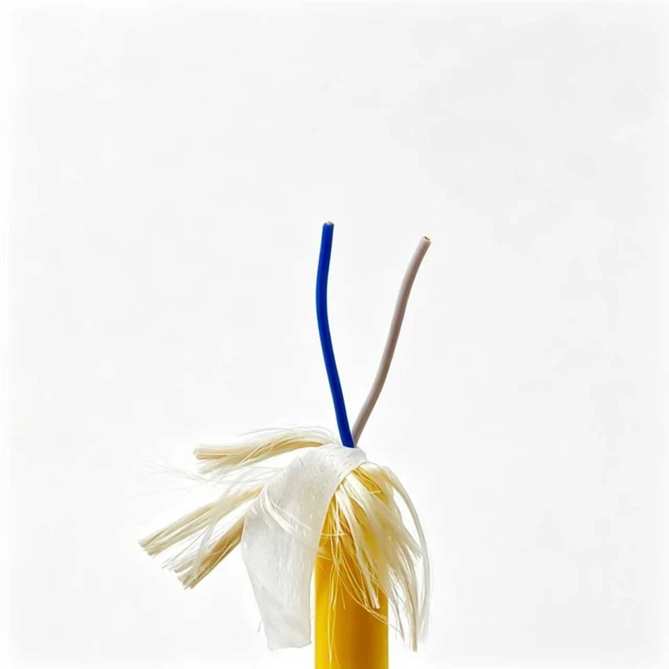 PaiDe 2 Core Buoyant Floating Cable PE Insulation LCP Reinforced TPU Sheath For Underwater ROV Marine Equipment suppliers